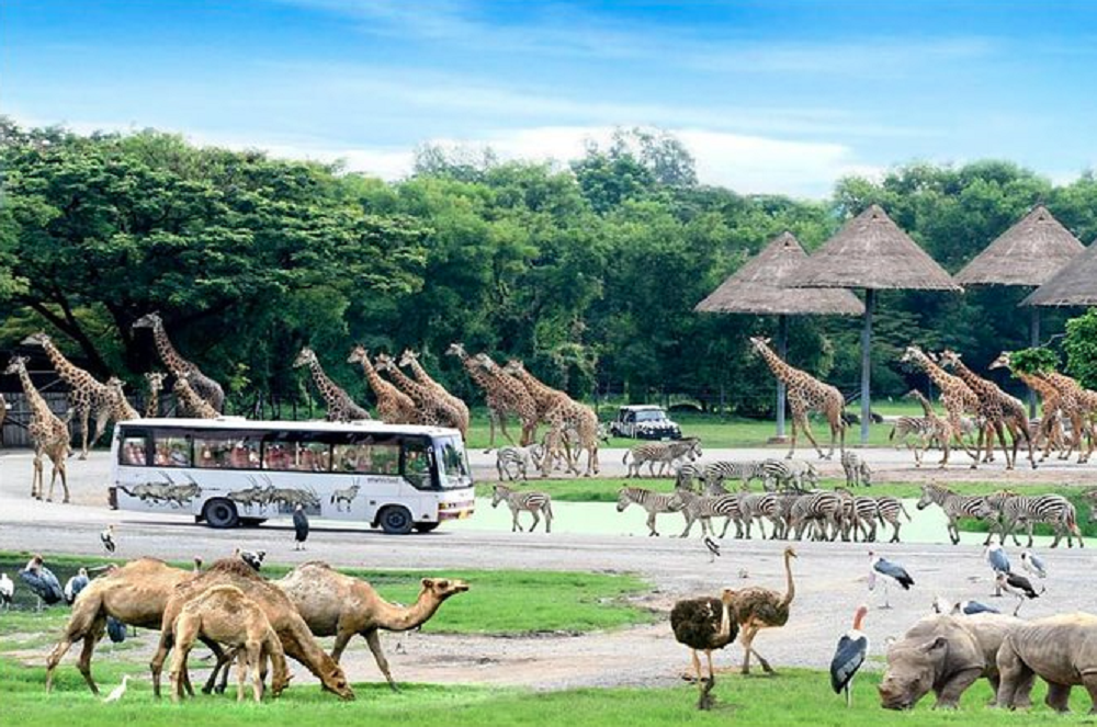 Safari World Bangkok